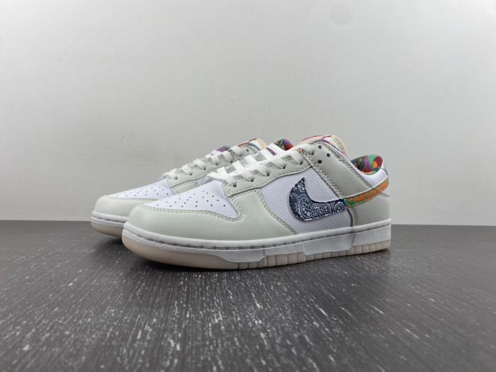 Nike Dunk Low GS Multi Paisley FN8913-141