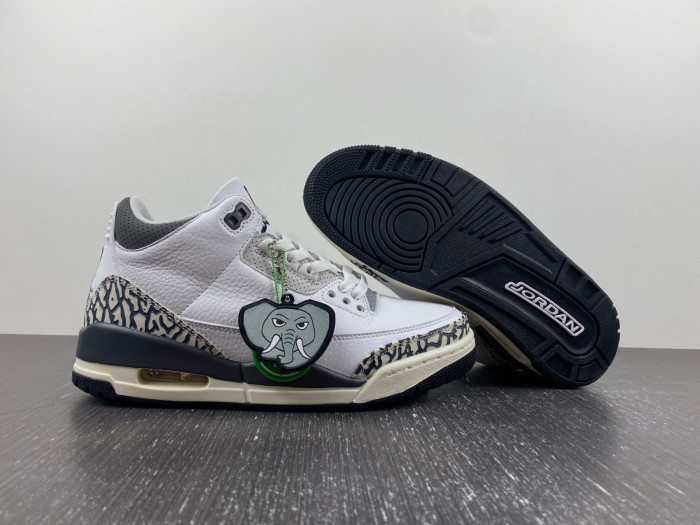 Air Jordan 3 GS Hide N'' Sneak DX6665-100