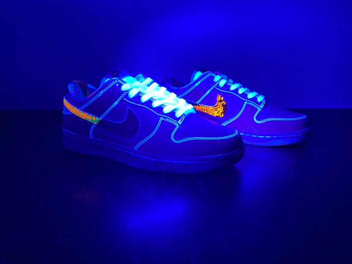 Nike Dunk Low GS Multi Paisley FN8913-141