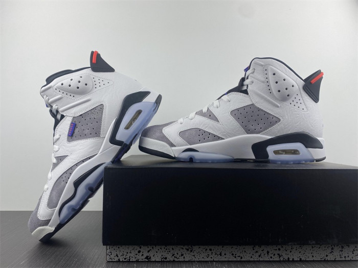 Air Jordan 6 Retro LTR 