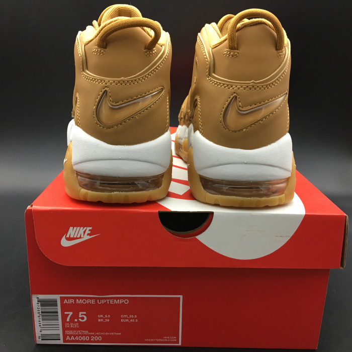 Nike Air More Uptempo Flax Gum AA4060-200