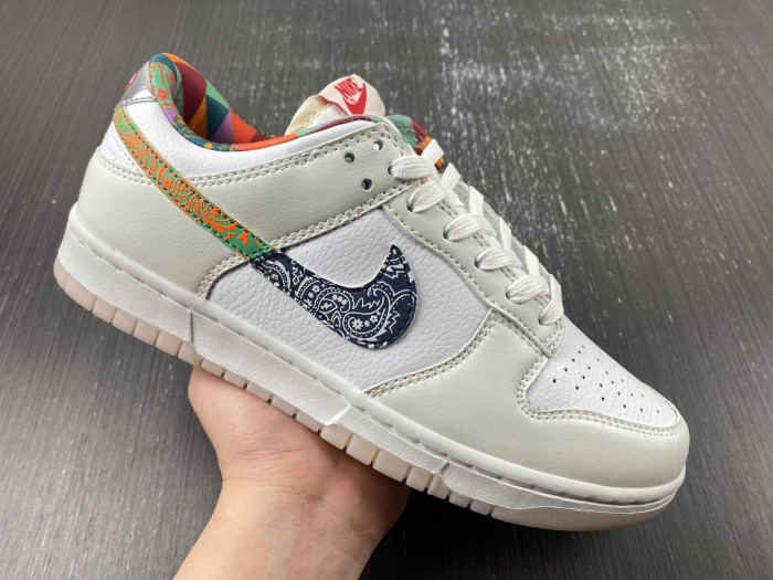 Nike Dunk Low GS Multi Paisley FN8913-141