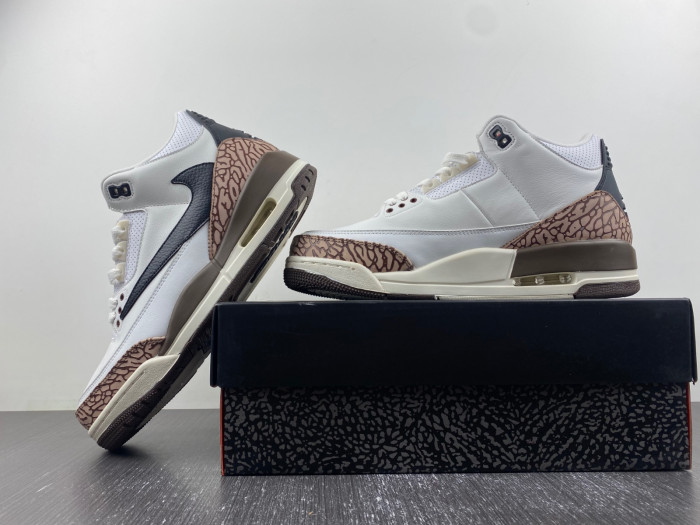 TRAVIS SCOTT X AIR JORDAN 3 “PALOMINO” CT8532-120