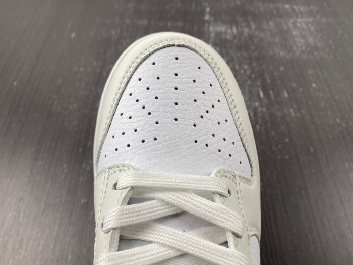 Nike Dunk Low GS Multi Paisley FN8913-141