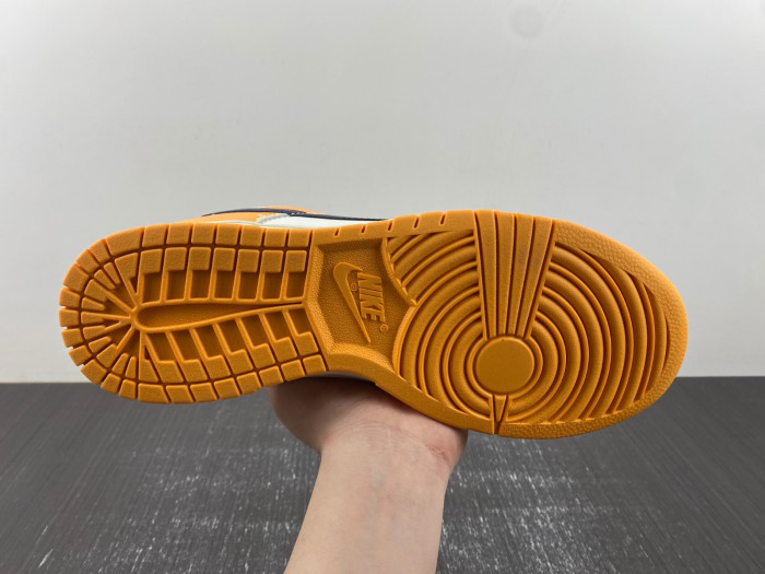 Nike Dunk Low Wear and Tear FN3418-100