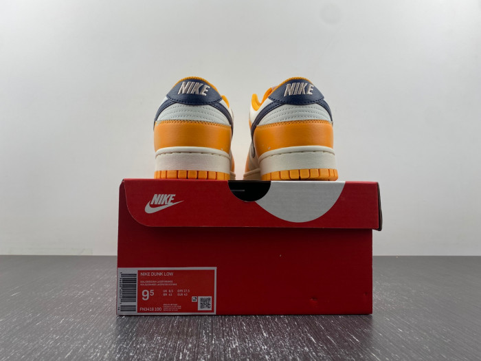 Nike Dunk Low Wear and Tear FN3418-100
