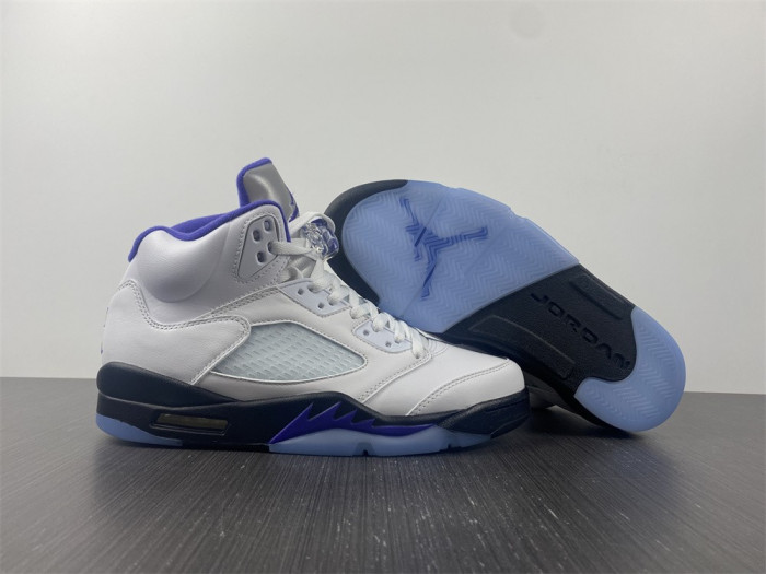 Air Jordan5 CONCORD 6666