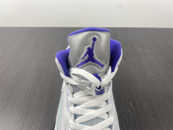 Air Jordan5 CONCORD 6666