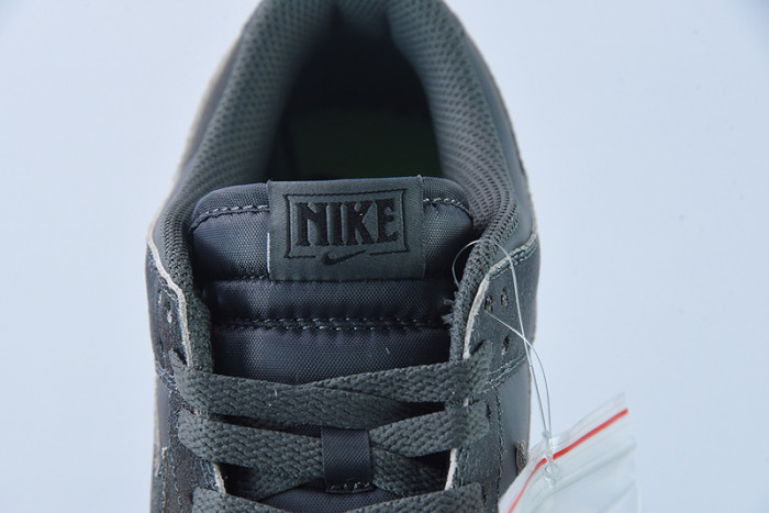 Nike Dunk Low Iron Grey DQ7681-001