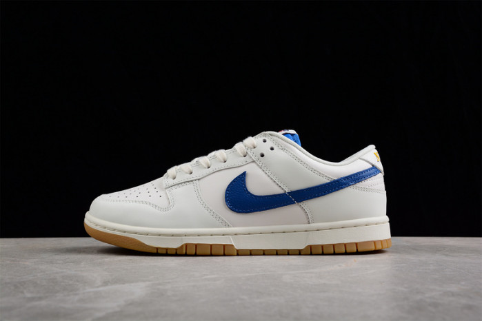 Nike Dunk Low Retro DX3198-133