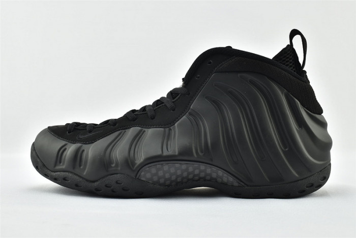 Nike Air Foamposite One Anthracite 314996-001