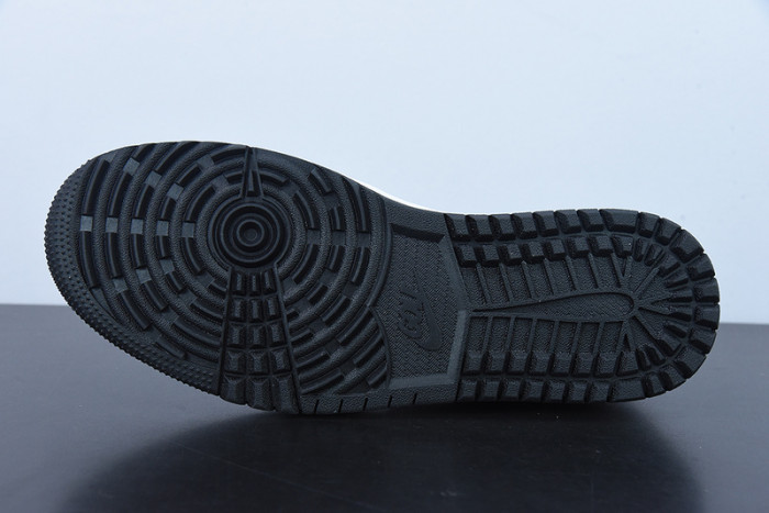 AIR Jordan 1 Low Golf DD9315 001