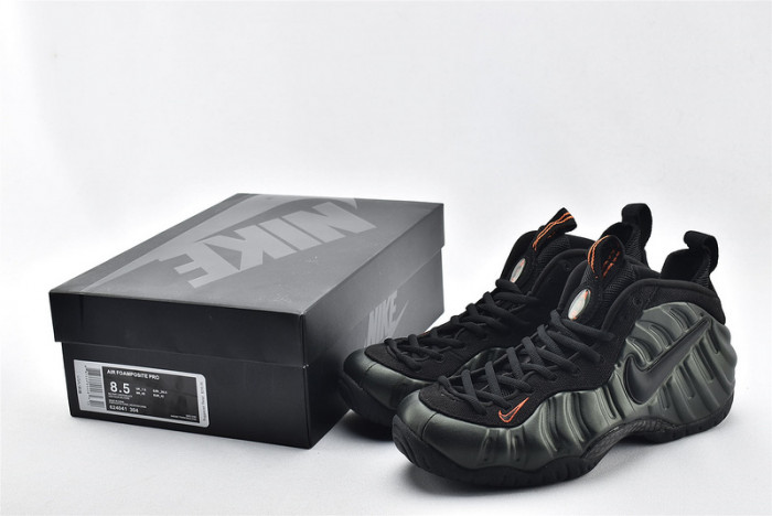 Nike Air Foamposite Pro Sequoia 624041-304