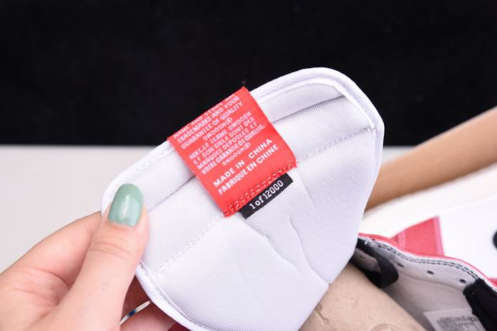 Trophy Room x Air Jordan 1 High OG DA2728-100