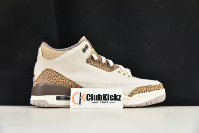 Air Jordan 3 "Palamino" CT8532-102