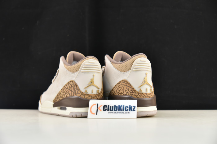 Air Jordan 3 "Palamino" CT8532-102